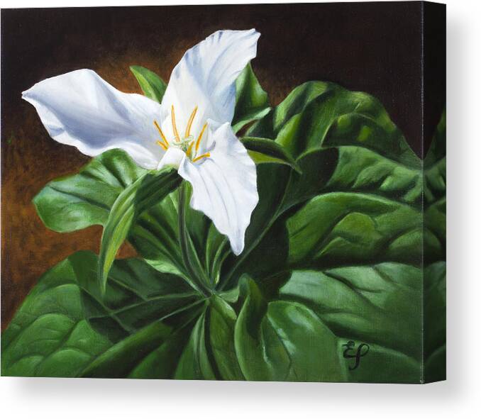 Wild Flowers Canvas Print featuring the painting Trillium - oil painting on canvas by Elena Polozova