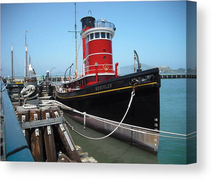 Seagull Canvas Print featuring the photograph Tug Boat by Carlos Diaz