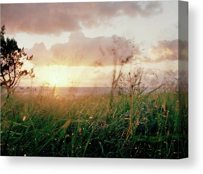 Tranquility Canvas Print featuring the photograph Twilight After Rain by Muriel De Seze