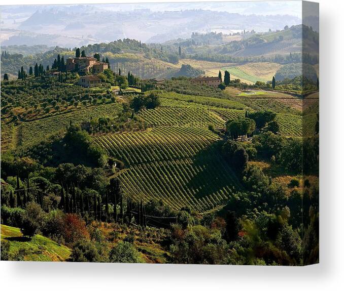 Tuscany Canvas Print featuring the photograph Under The Tuscan Sun by Ira Shander