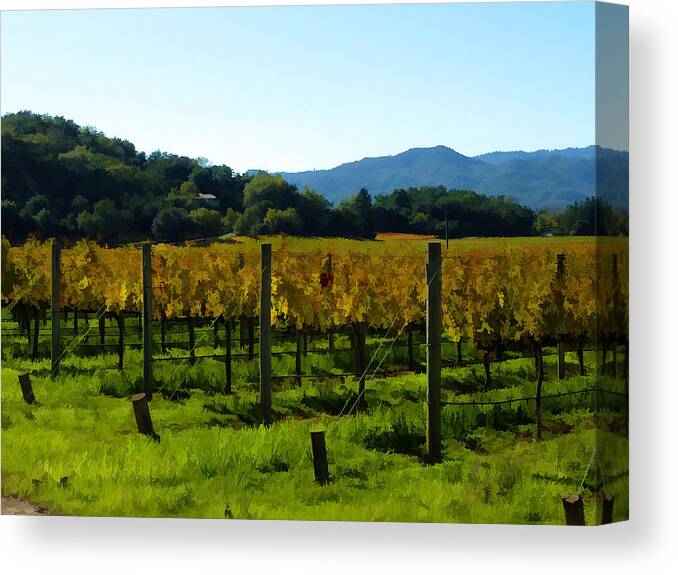 Landscape Canvas Print featuring the photograph Up Valley by Ann Nunziata
