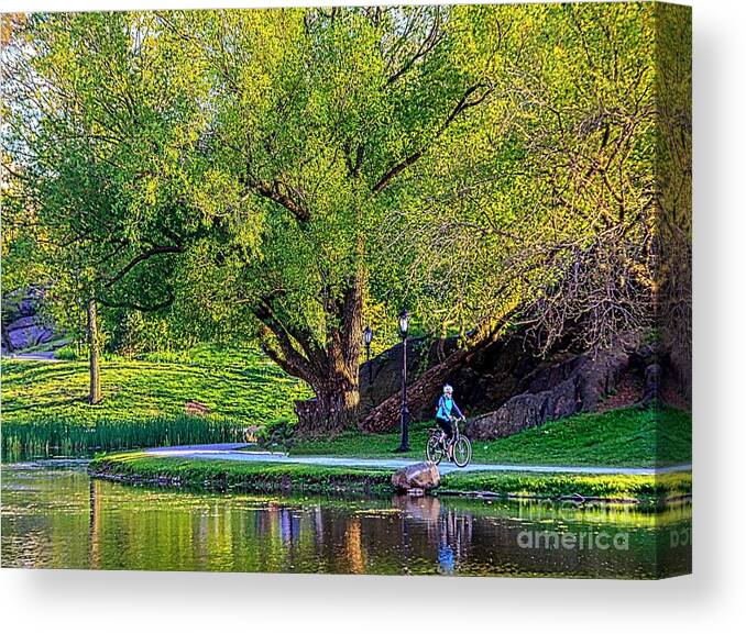 Central Park Canvas Print featuring the mixed media Uphill All The Way by Terry Wallace