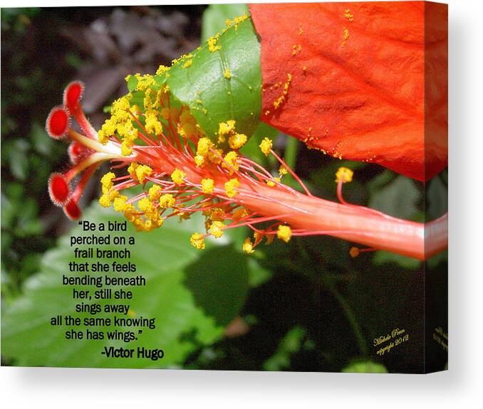 Flower Photograph Canvas Print featuring the photograph Victor Hugo by Michele Penn