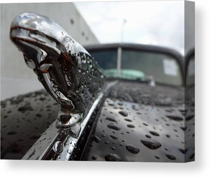 Chevrolet Canvas Print featuring the photograph Vintage Chevy by John Collins