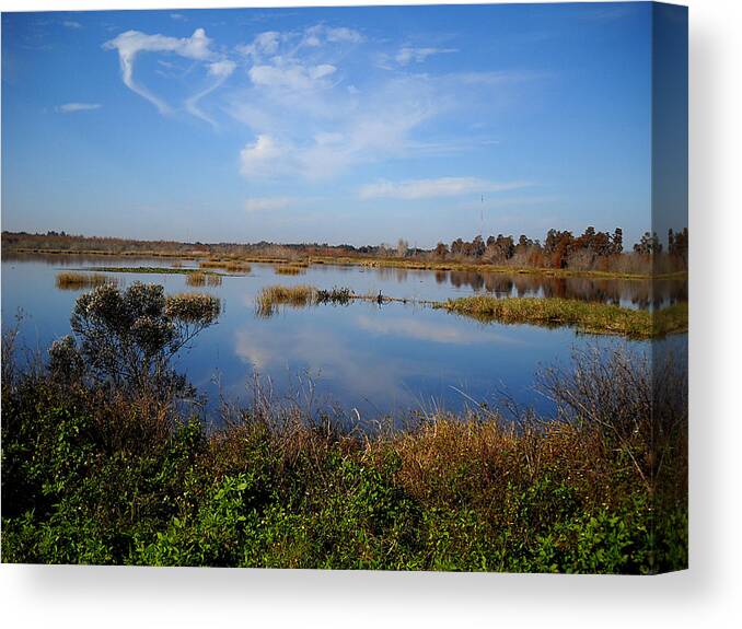 Landscape Photography Canvas Print featuring the photograph Wading Bird Way by Christopher Mercer