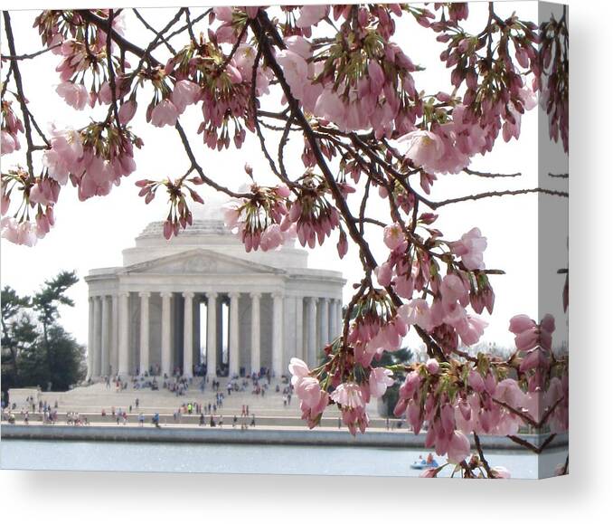 Washington Canvas Print featuring the photograph Washington DC in Bloom by Jennifer Wheatley Wolf