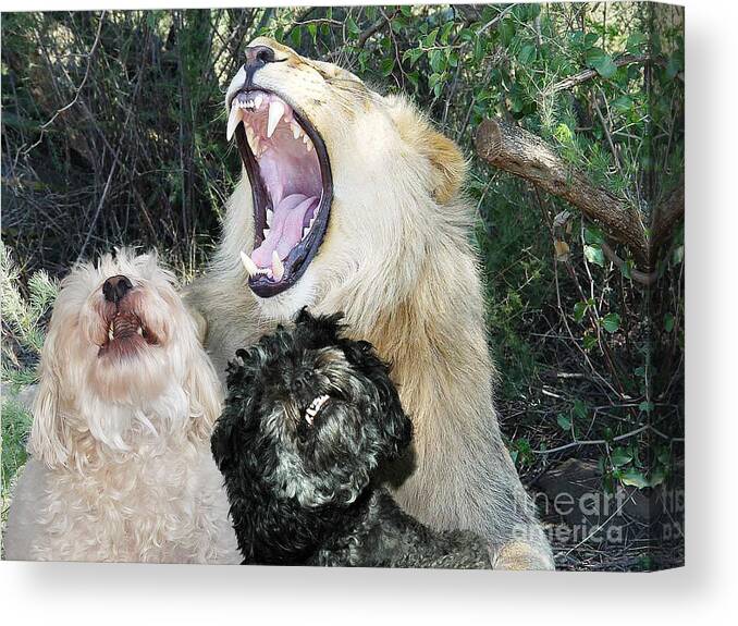 Dogs Canvas Print featuring the photograph We Are Lions -- Hear Us Roar by Jean A Chang