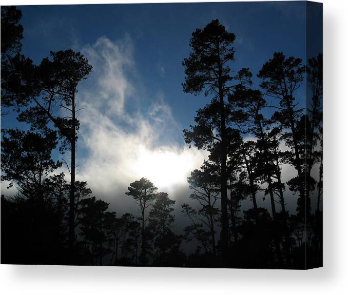 Landscape Canvas Print featuring the photograph Whispering Pines by Derek Dean