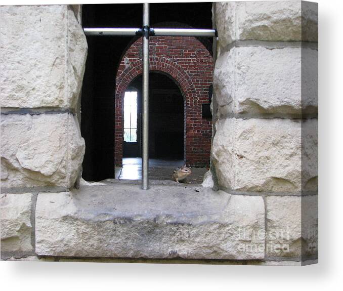 Chipmunk Canvas Print featuring the photograph Window Watcher by Michael Krek