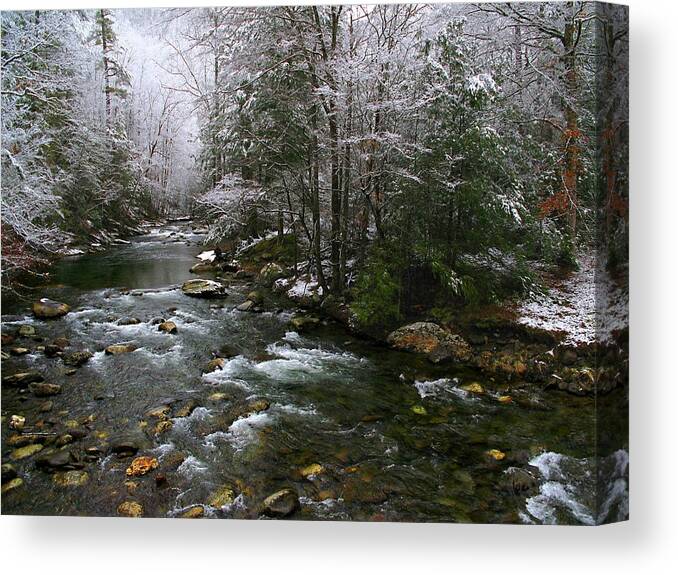 Smoky Mountain Stream Canvas Print featuring the photograph Winter Fresh by Michael Eingle