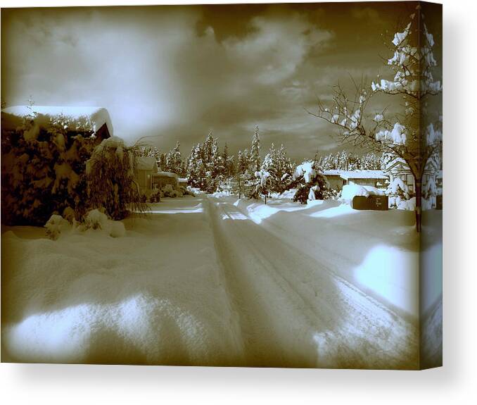 Winter Canvas Print featuring the photograph Winter Lane by Micki Findlay