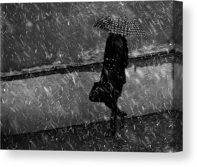 Winter Canvas Print featuring the photograph Winter Passengers. The Shield by Nicoleta Gabor