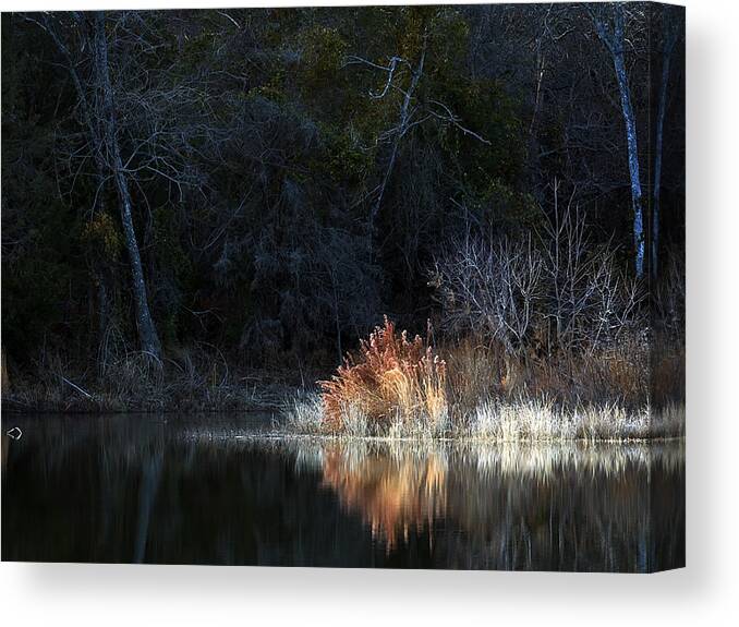 Landscape Canvas Print featuring the photograph Winter Pond by Mark McKinney