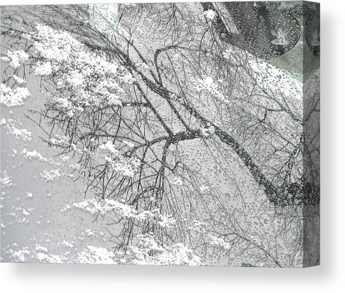 Snow Canvas Print featuring the photograph Winter Reflection by Alfred Ng