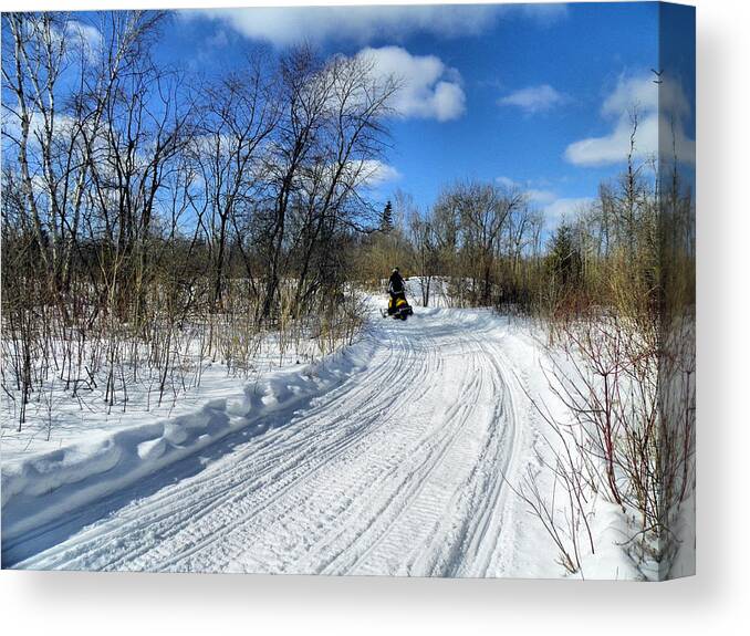 Landscape Canvas Print featuring the photograph Winter Scape 2 by Gene Cyr