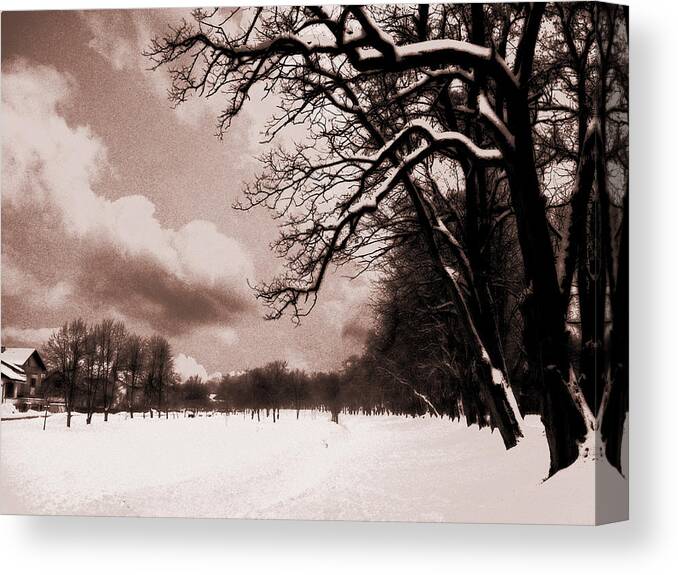 Winter Canvas Print featuring the photograph Winter Tale by Nina Ficur Feenan
