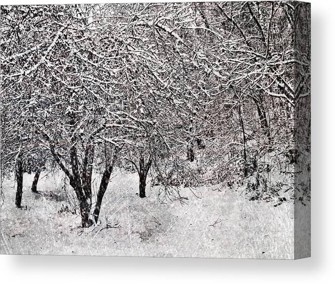 Winter Canvas Print featuring the digital art Winter Wonder 3 by Maria Huntley