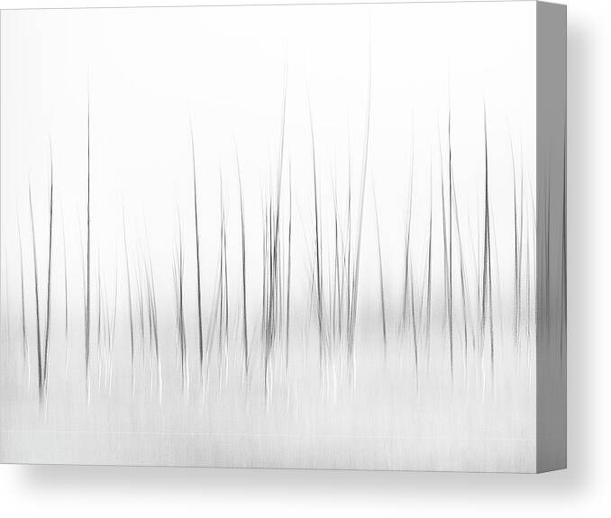 Bw Canvas Print featuring the photograph Wintry Scenery In Yellowstone by Charles Lai