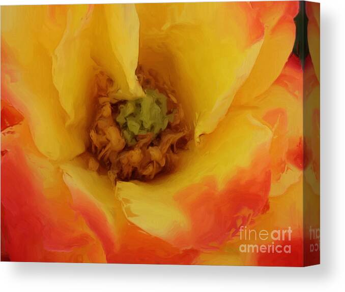 Yellow Canvas Print featuring the painting Yellow and Orange Rose by Jacklyn Duryea Fraizer