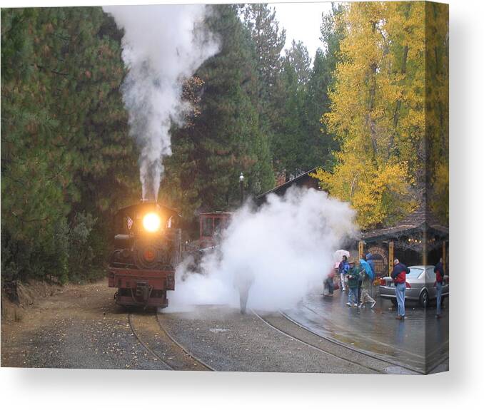 Train Canvas Print featuring the photograph Yosemite Train Ride by Duwayne Williams