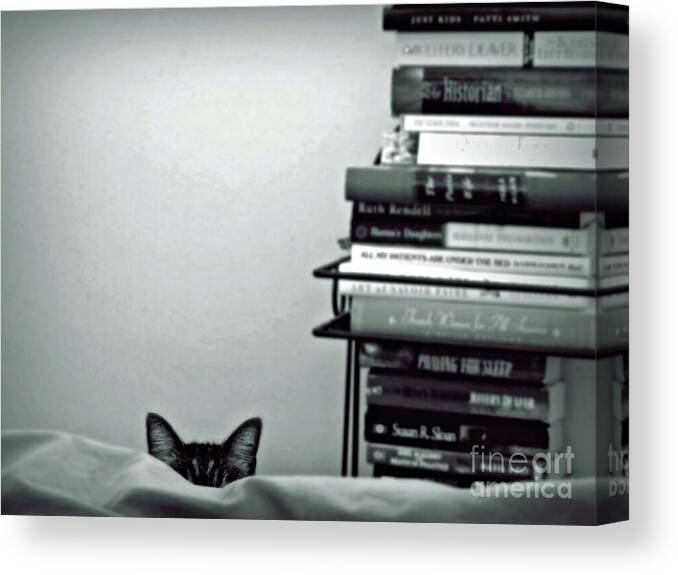 Cat Canvas Print featuring the photograph You can run but you can't hide by Patricia Strand