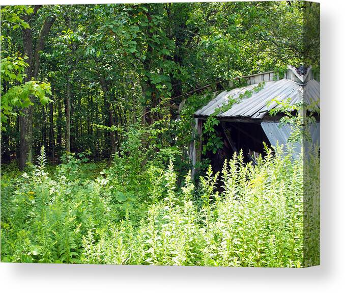 Farm Animals Canvas Print featuring the photograph A Broken Down Farm Building #1 by Robert Margetts