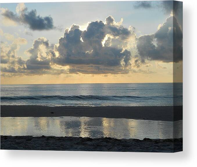 Nature Canvas Print featuring the photograph Comfort #1 by Sheila Silverstein