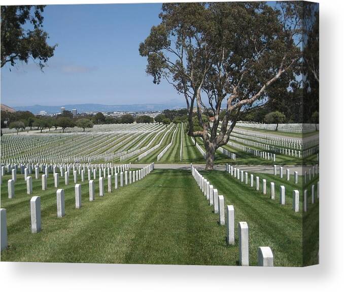 Golden Gate National Cemetery Canvas Print featuring the photograph Golden Gate National Cemetery #1 by Dany Lison