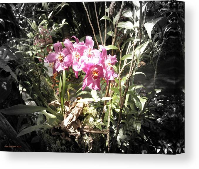 Flowers Canvas Print featuring the photograph Pink Orchids #1 by Gina De Gorna
