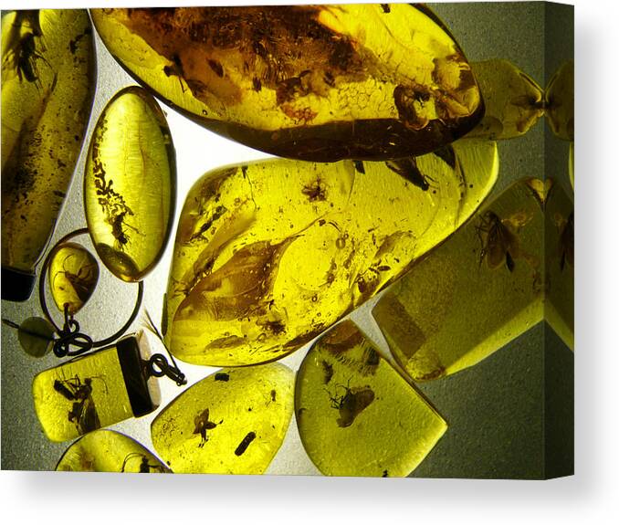 Amber Canvas Print featuring the photograph Raw Amber #1 by Aleksandr Volkov