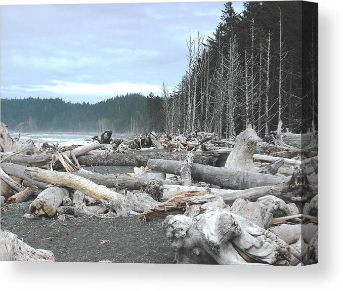 Twilight Canvas Print featuring the photograph Rialto Beach La Push by Kelly Manning