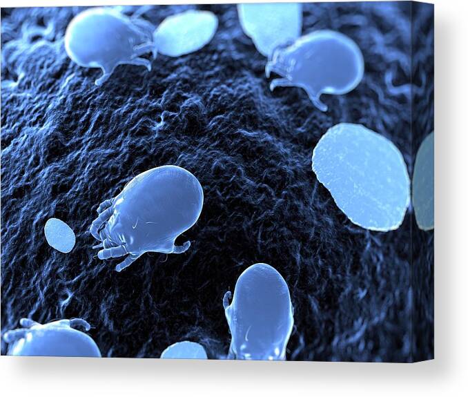 Artwork Canvas Print featuring the photograph Dust Mites, Artwork #6 by Sciepro