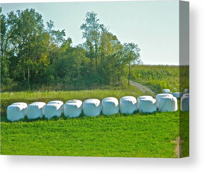 Fodder Canvas Print featuring the photograph A Marshmallow World in Wisconsin by Randy Rosenberger