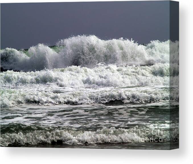 Fine Art Photography Canvas Print featuring the photograph Aftermath of a Storm IV by Patricia Griffin Brett