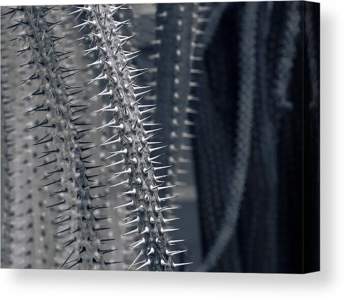 Abstract Canvas Print featuring the photograph Alien Encounter by Wayne Sherriff