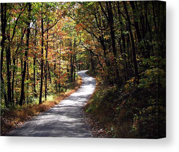 Autumn Canvas Print featuring the photograph Autumn Country lane by David Dehner