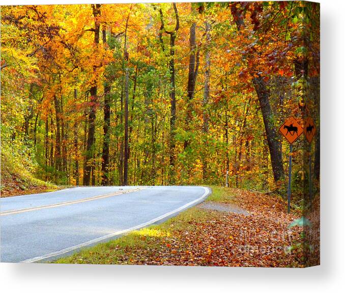 Autumn Canvas Print featuring the photograph Autumn Drive by Lydia Holly