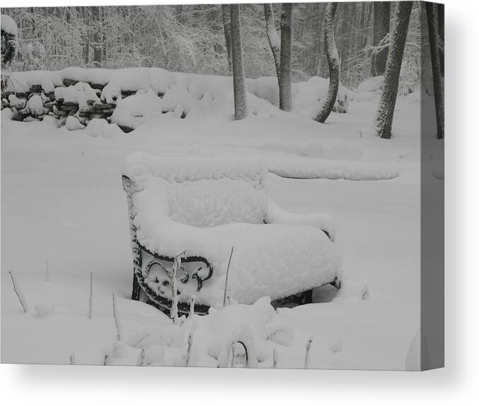 Snow Canvas Print featuring the photograph Baby Its Cold Outside by Kim Galluzzo