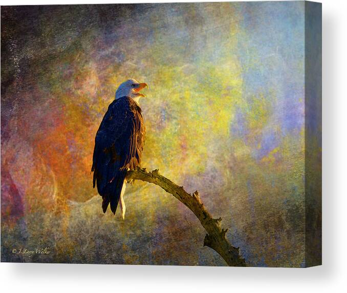 J Larry Walker Canvas Print featuring the digital art Bald Eagle Awaiting Sunrise by J Larry Walker