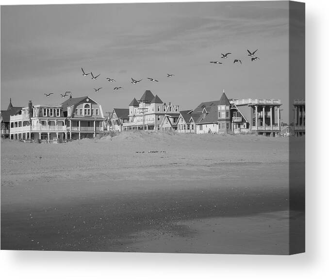 Landscape Canvas Print featuring the photograph Beach Birds by Joe Burns