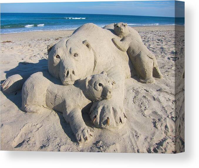 Beach Art Canvas Print featuring the photograph Bear Bear Family by Kathryn Barry