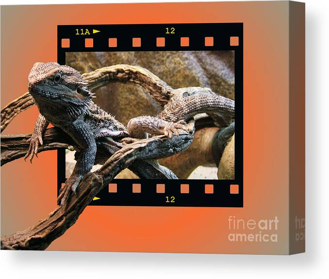 Reptile Canvas Print featuring the photograph Bearded Dragon by Yvonne Johnstone