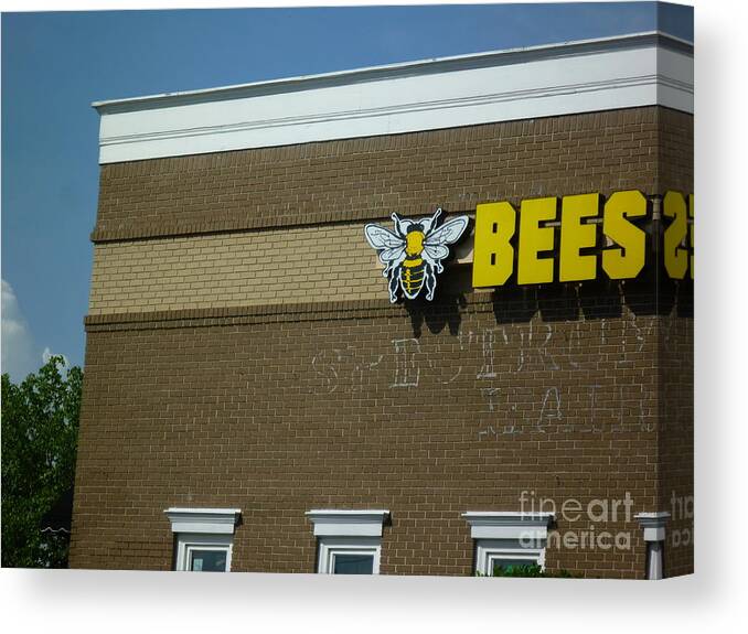 Bee Canvas Print featuring the photograph BEES on Building by Renee Trenholm