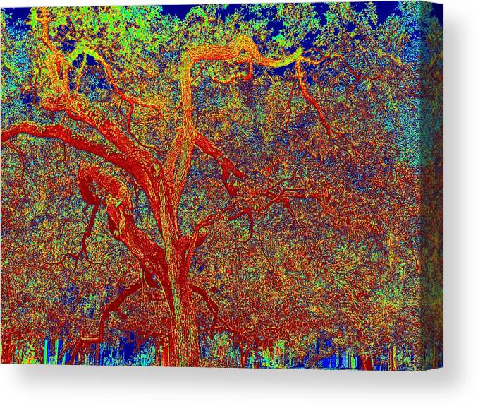 Trees Canvas Print featuring the mixed media Being Lovely by Aimee Bruno