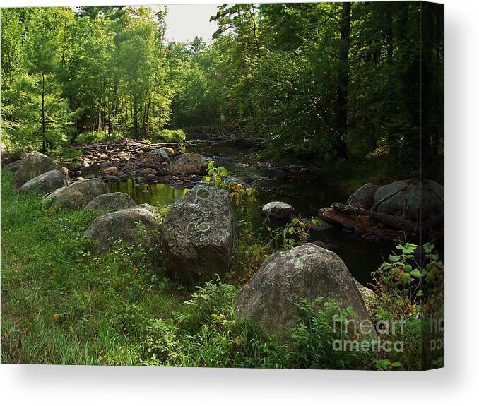 Black Brook Canvas Print featuring the photograph Black Brook 2 by Peggy Miller