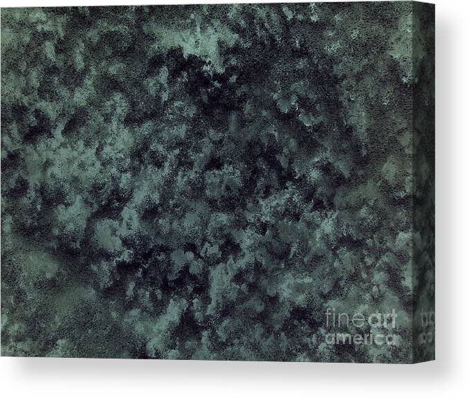 Snow Canvas Print featuring the photograph Black Snow by Silvie Kendall