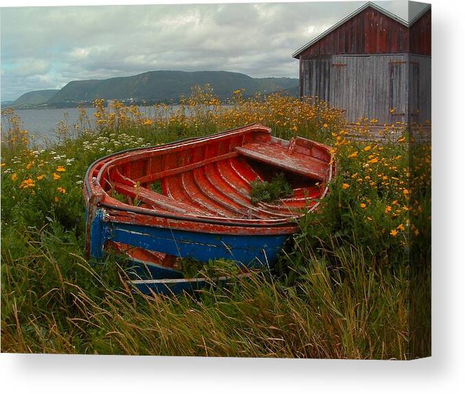 Gaspe Province Of Quebec Fishing Boat Shore Scene Wildflowers Melancholy Muted Tones Overcast Decaying Boat Frame Canvas Print featuring the photograph BOATS Shore in Time by William OBrien