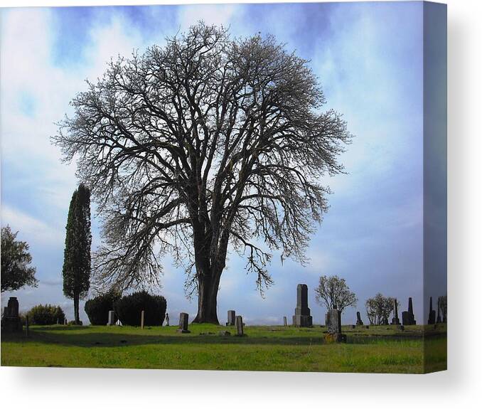 Port Gamble Canvas Print featuring the photograph Buena Vista Cemetery Port Gamble by Kelly Manning