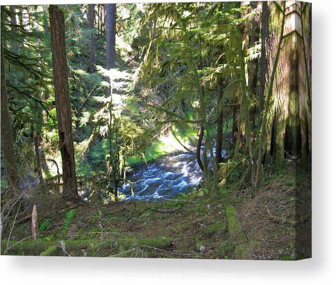 Butte Creek Canvas Print featuring the photograph Butte Creek by Linda Hutchins