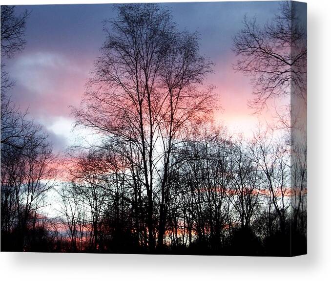 Butterfly Canvas Print featuring the photograph Butterfly Wings Of Pink In The Sky by Kim Galluzzo Wozniak